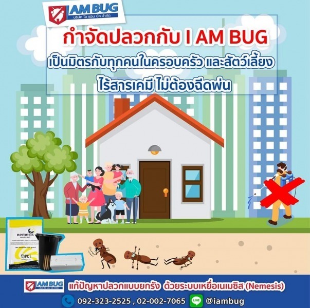 บริษัทกำจัดปลวก ปลอดภัยกับสัตว์เลี้ยง I AM BUG